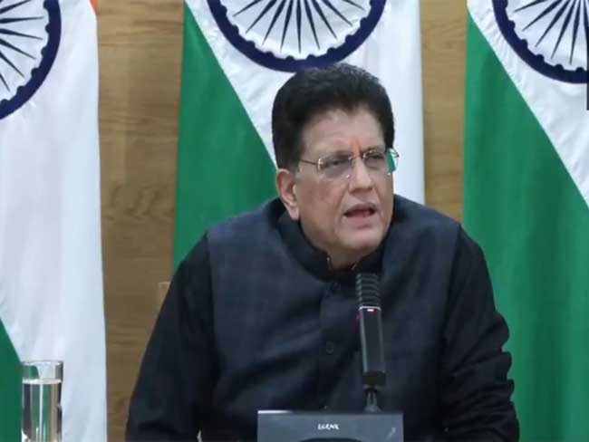 Piyush-Goyal-0302261.jpg