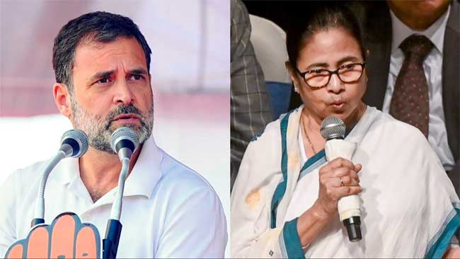rahul-mamta-against.jpg