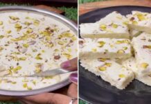 आइसक्रीम बर्फी: सिर्फ दो मुख्य सामग्री से तैयार करें मुंह में घुल जाने वाली मिठास Ice Cream Barfi