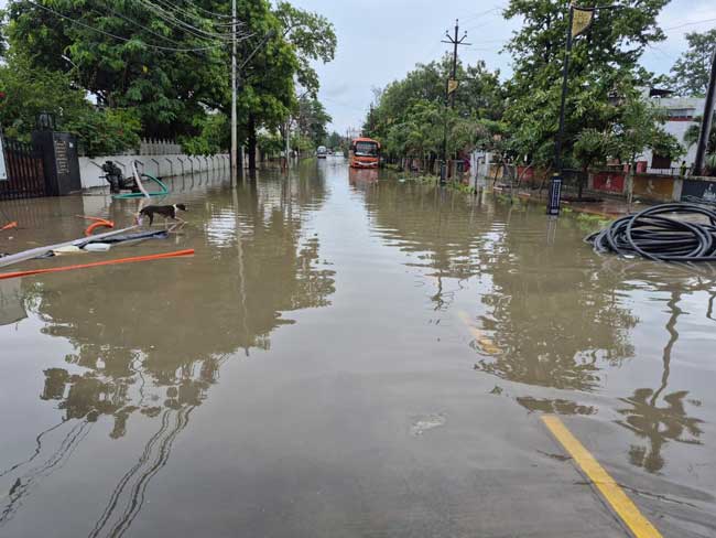 prayagraj-flooded Prayagraj flooded