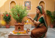 तुलसी दल तोड़ने का भी है विधान, जानिए सही समय, सही विधि और पवित्र मंत्र Tulsi puja aradhna toadna