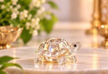फेंगशुई टिप्स: क्रिस्टल कछुए को घर में कहां रखें? जानें बड़े फायदे Crystal Turtle