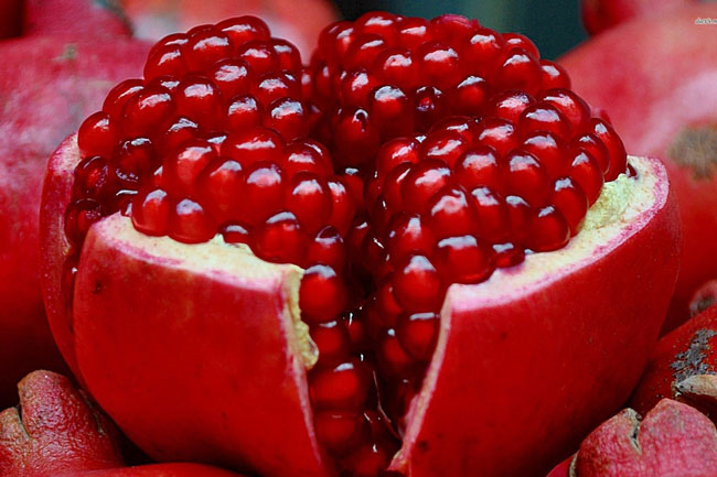 Pomegranate-anar Pomegranate anar
