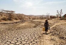 महाराष्ट्र की 265 तहसीलों में सूखा, 74 फीसदी क्षेत्र प्रभावित Sukha dry