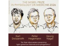 मस्तिष्क को रोशनी से समझने की खोज के लिए तीन वैज्ञानिकों को नोबेल Karl peter hegemam georg nagel