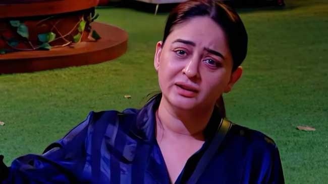 mahhi-vij Mahhi vij